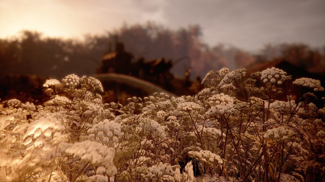 Flowers Field – PS4Wallpapers.com